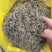 翻白草天然无硫翻白草一手货源