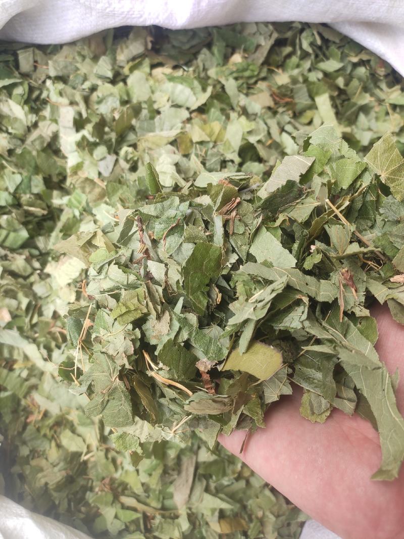淫羊藿干货量大从优欢迎选购！