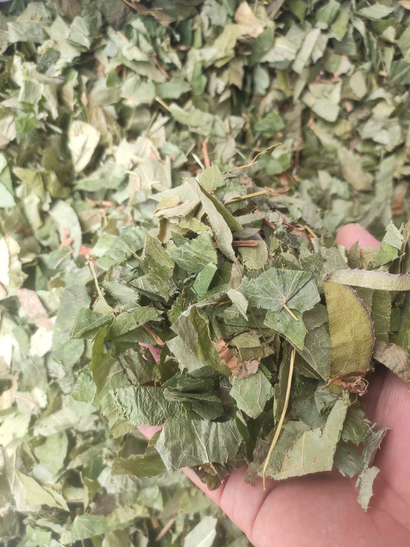 淫羊藿干货量大从优欢迎选购！