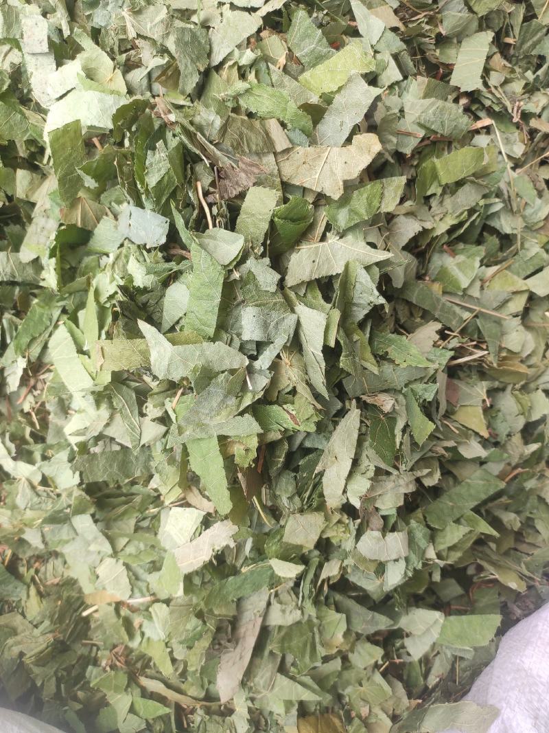 淫羊藿干货量大从优欢迎选购！