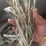 精品苦瓜干条，农家自晒，一手货源干净卫生欢迎订购。