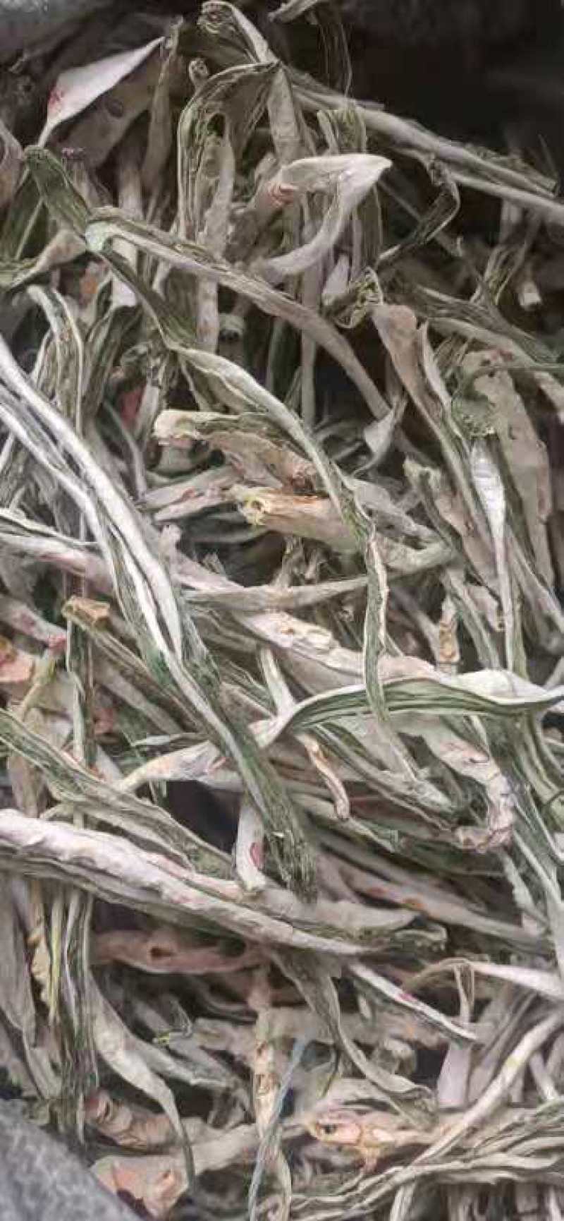 精品苦瓜干条，农家自晒，一手货源干净卫生欢迎订购。