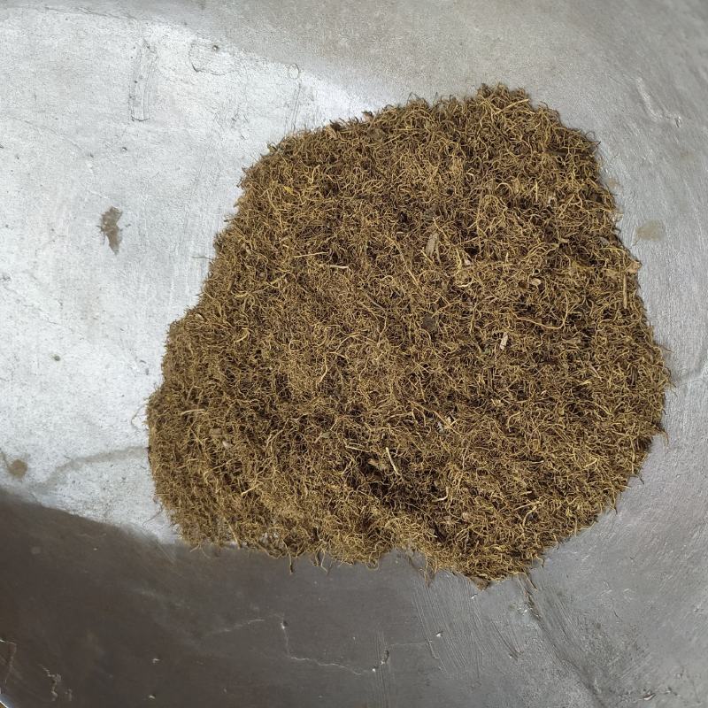 辽细辛细辛支持线上交易可搭配多品种采购大货联系