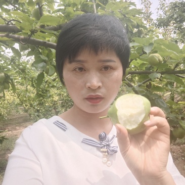 早酥梨