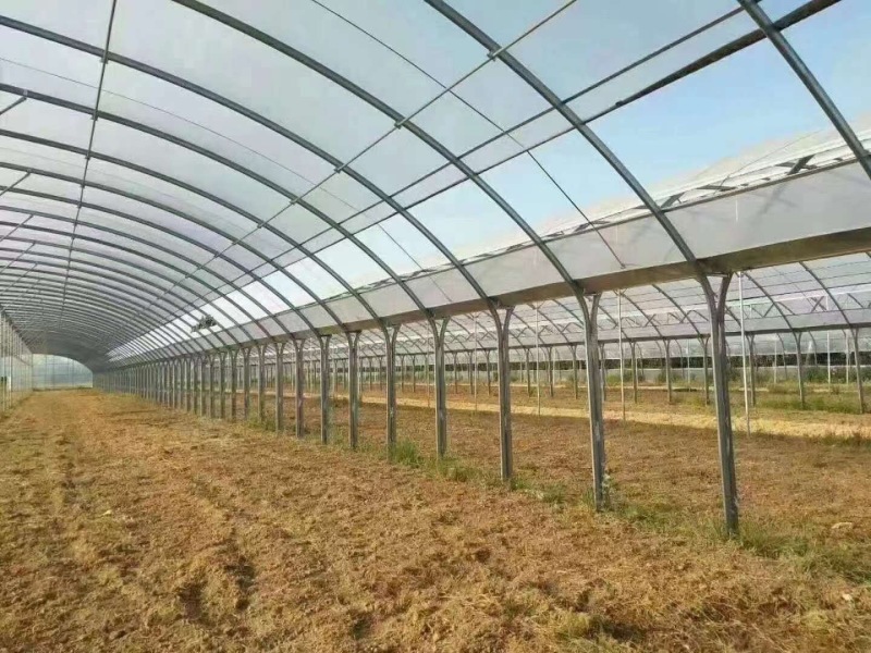 【种植大棚】大棚管种植大棚蔬菜大棚整套温室大棚