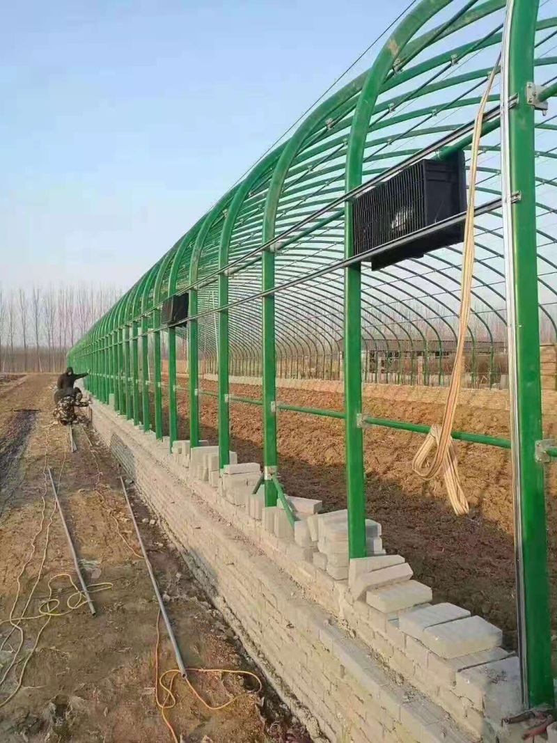 【大棚骨架】厂家生产批发大棚管镀锌管种植棚