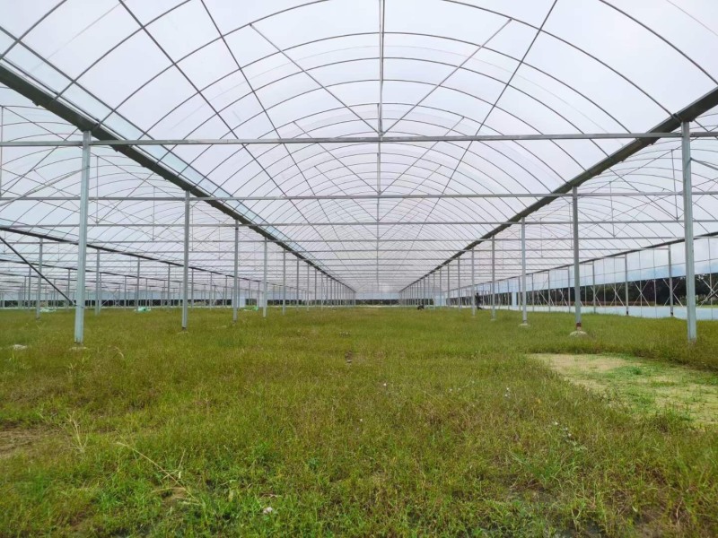 【大棚骨架】厂家生产批发大棚管镀锌管种植棚