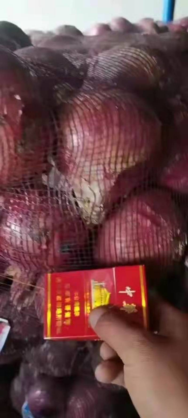 洋葱产地直发，可做精品加工，二红紫葱品类齐全