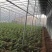 【成套大棚】大棚骨架全套配齐蔬菜大棚种植大棚