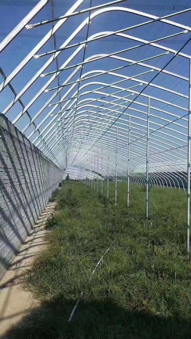 【成套大棚】大棚骨架全套配齐蔬菜大棚种植大棚