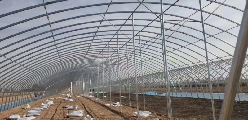 【成套大棚】大棚骨架全套配齐蔬菜大棚种植大棚