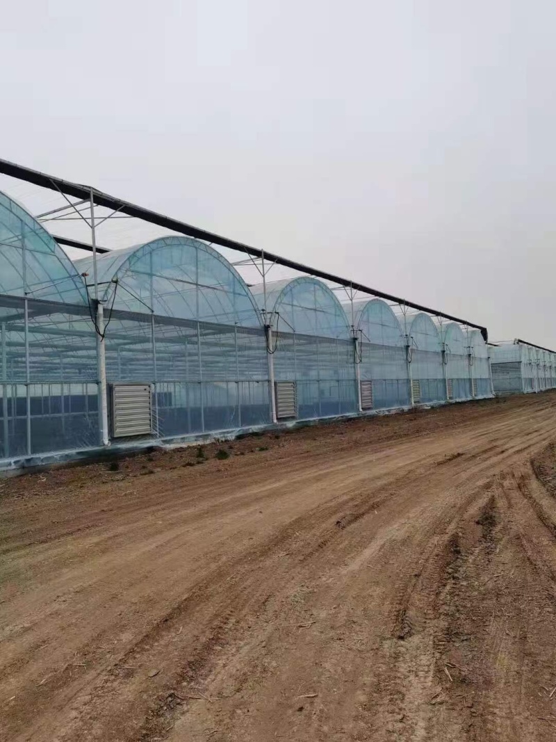 【成套大棚】大棚骨架全套配齐蔬菜大棚种植大棚