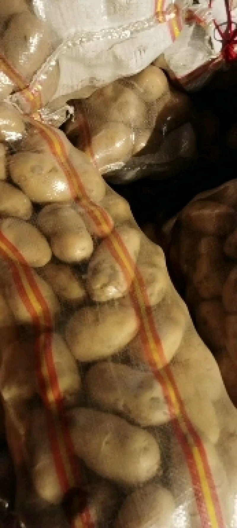 土豆精品希森V7种类齐全，货源充足