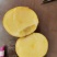 土豆精品希森V7种类齐全，货源充足