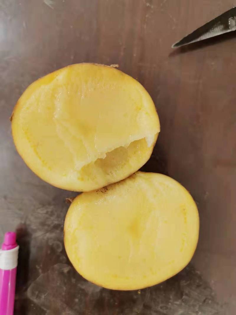 土豆精品希森V7种类齐全，货源充足