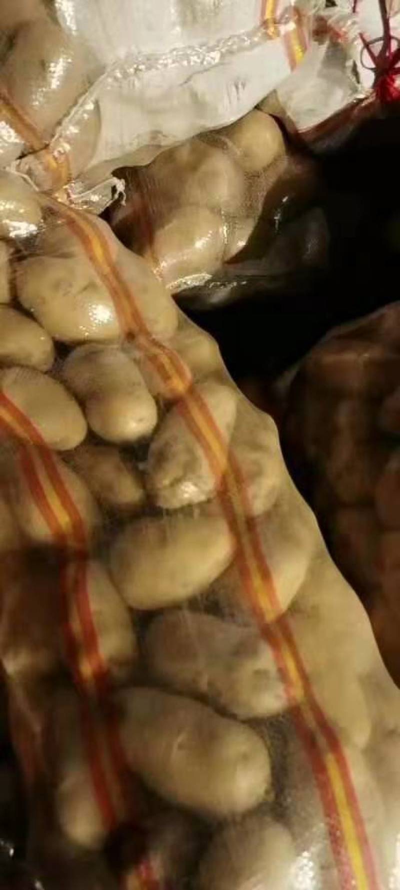 土豆精品希森V7种类齐全，货源充足