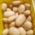 土豆精品希森V7种类齐全，货源充足