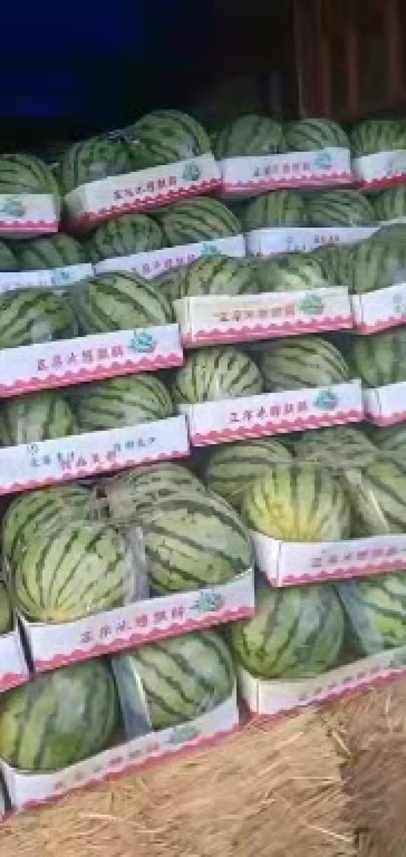 西瓜本地瓜，瓤红味甜，西瓜主产区量大价格低