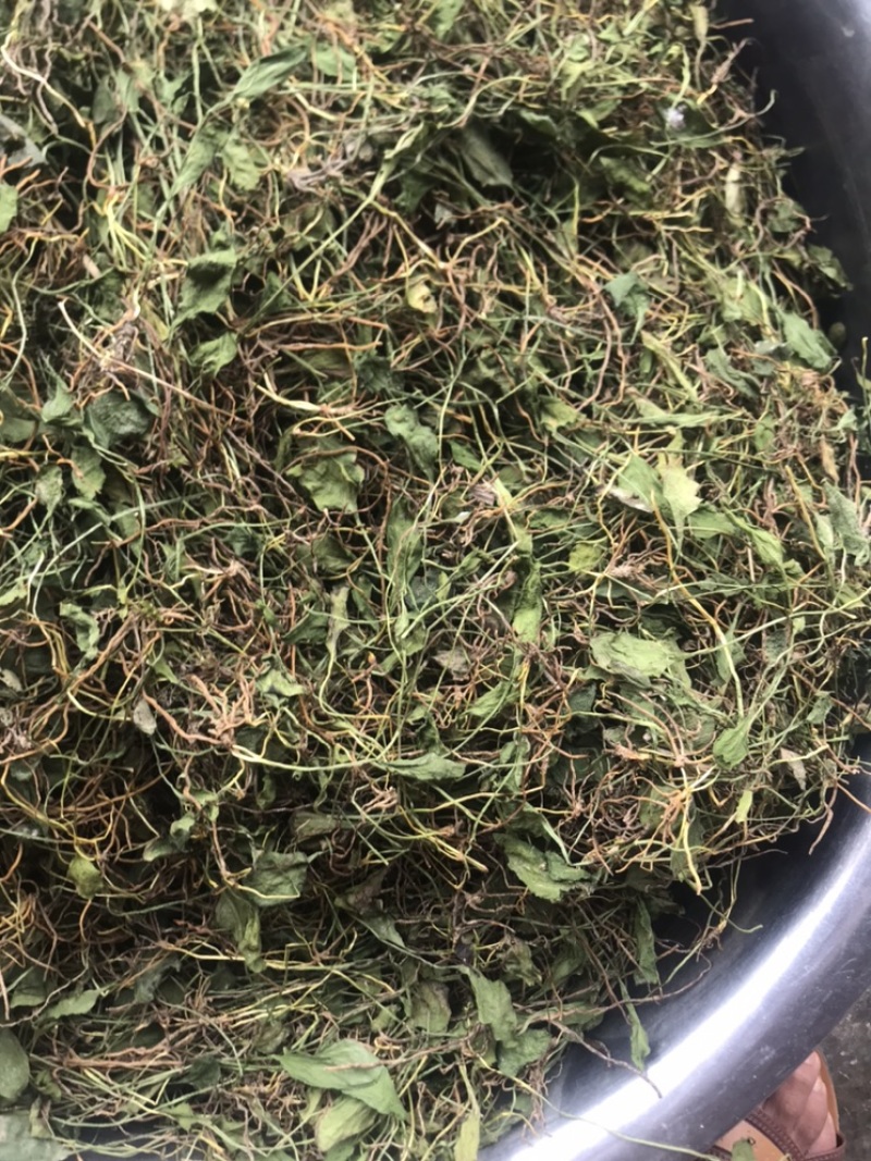 一支箭
