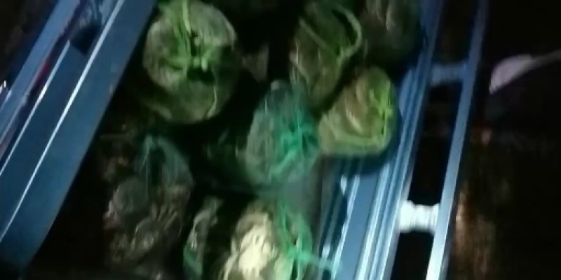 大闸蟹
