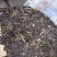 【中茶蓝印2006年冰岛王】普洱茶生茶饼古树纯料冰岛产区