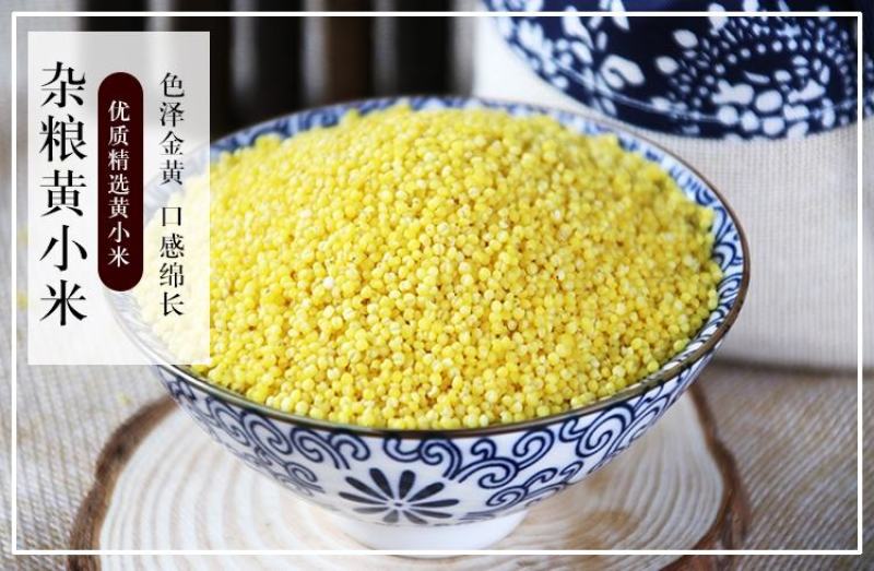 五谷杂粮10种杂粮1斤装一袋农家种植杂粮一件代发包邮