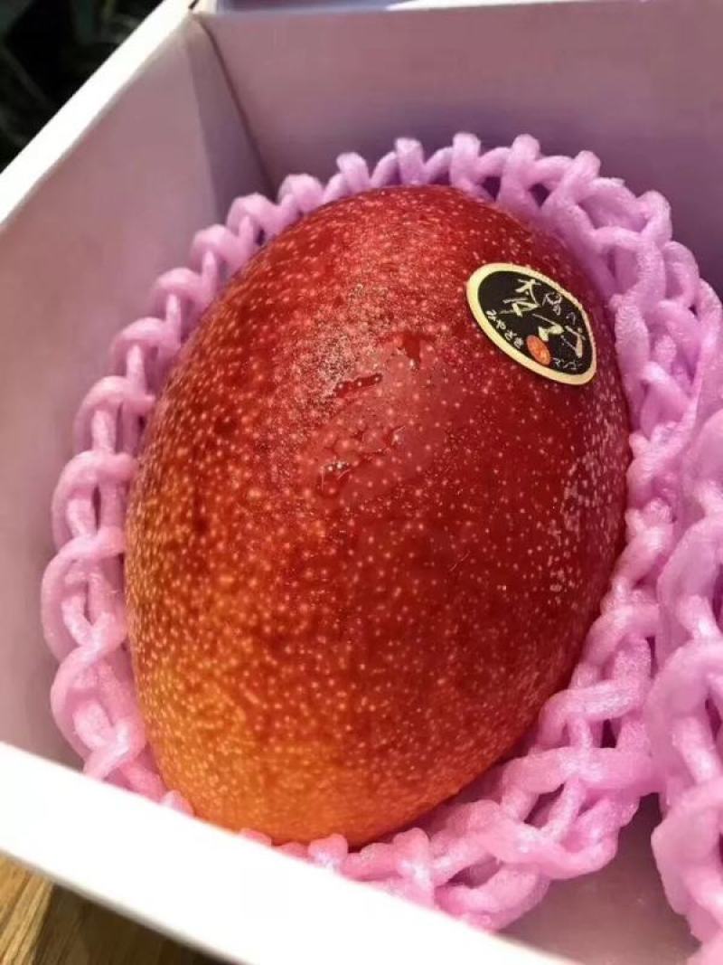 顺丰包邮～海南太阳之子芒果，太阳芒果