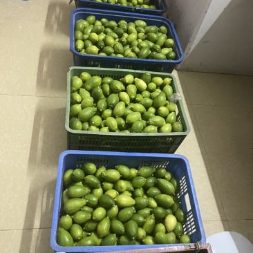 广东香水柠檬
