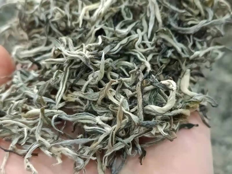 2021年滇绿绿茶单芽银丝