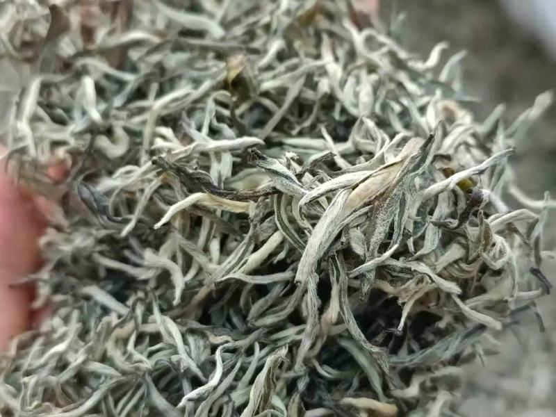 2021年滇绿绿茶单芽银丝