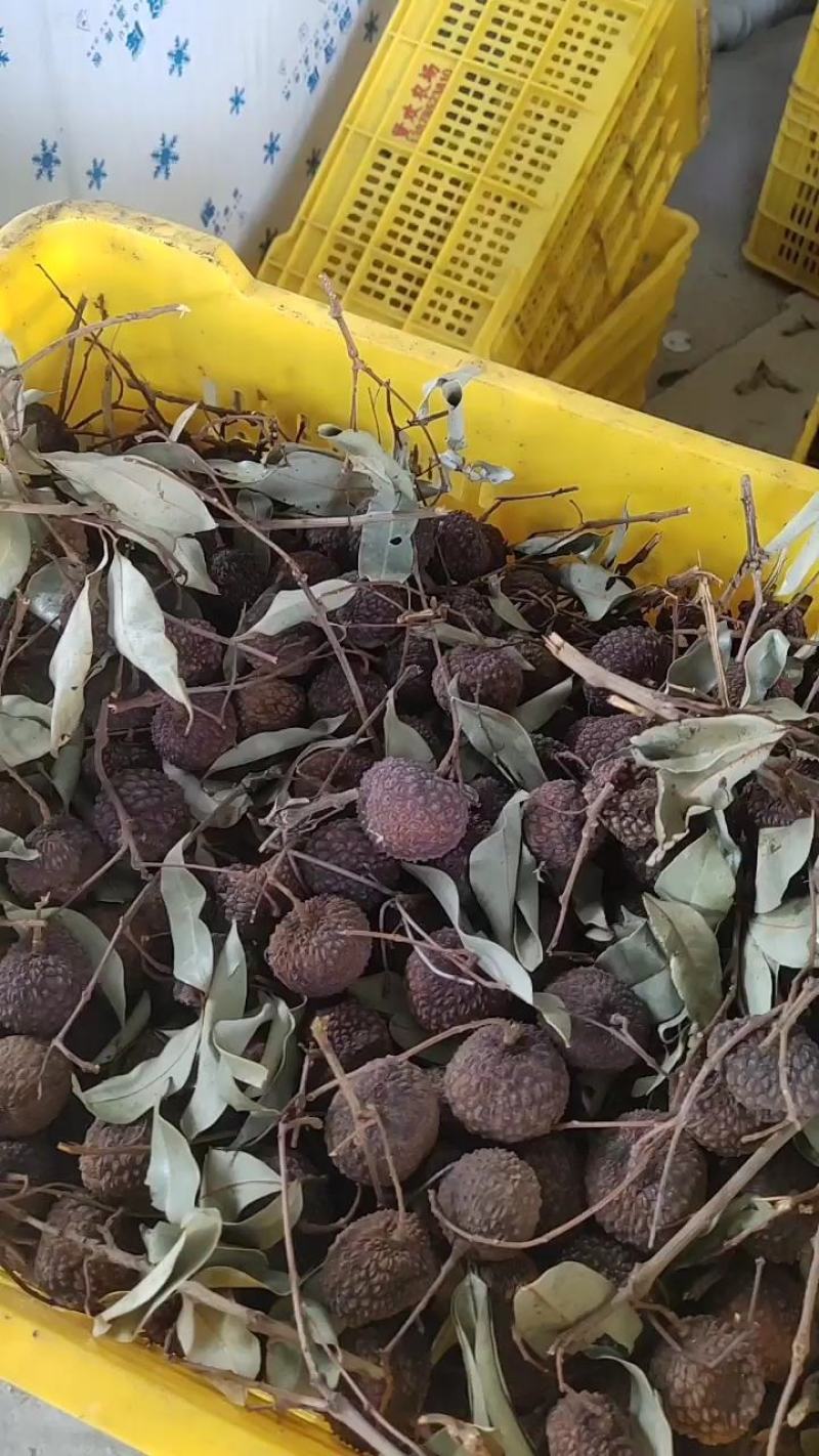 各种荔枝品种加工