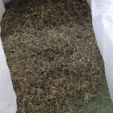 2021年滇绿绿茶荒山银丝绿茶