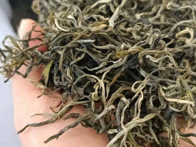 2021年滇绿绿茶荒山银丝绿茶