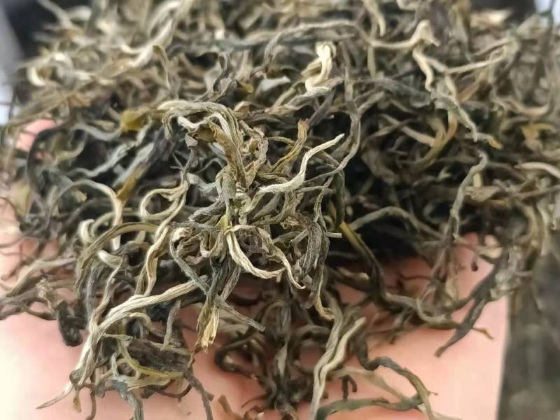 2021年滇绿绿茶荒山银丝绿茶