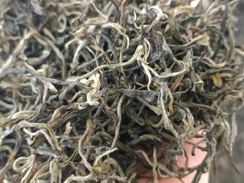 2021年滇绿绿茶荒山银丝绿茶