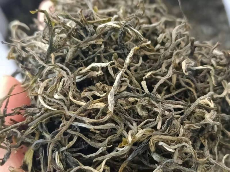 2021年滇绿绿茶荒山银丝绿茶