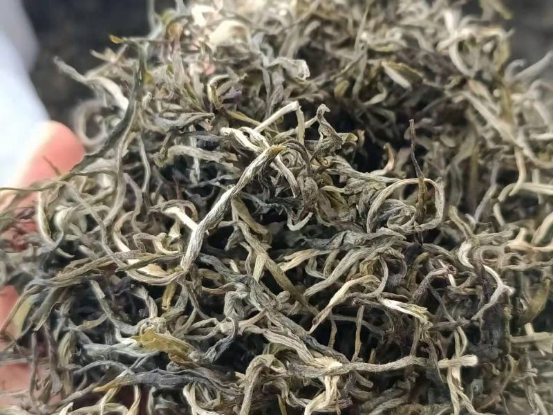 2021年滇绿绿茶荒山银丝绿茶