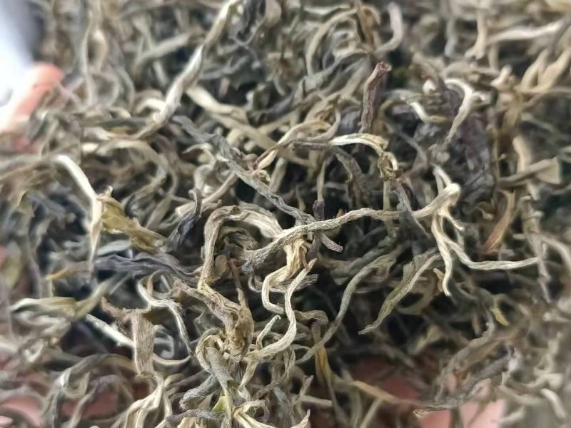 2021年滇绿绿茶荒山银丝绿茶