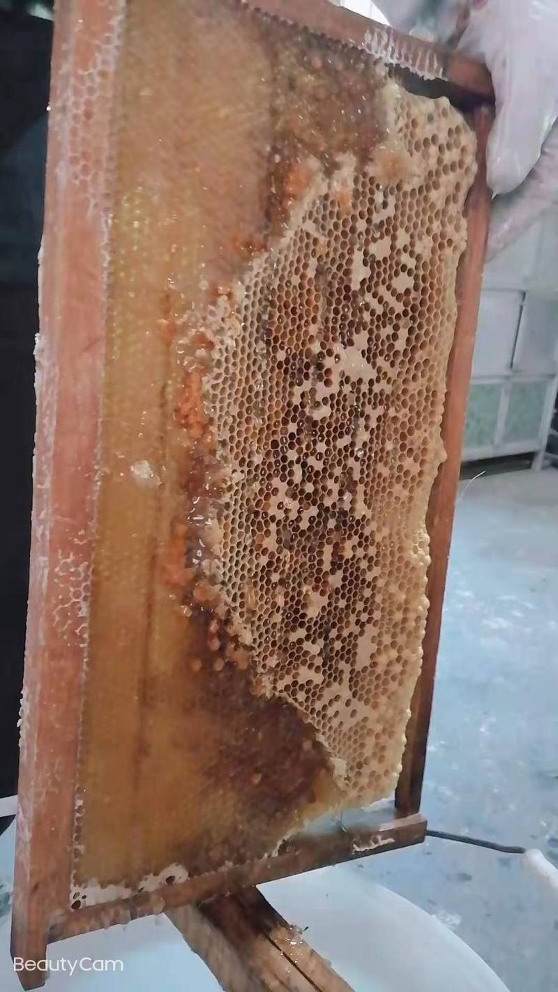 蜂蜜