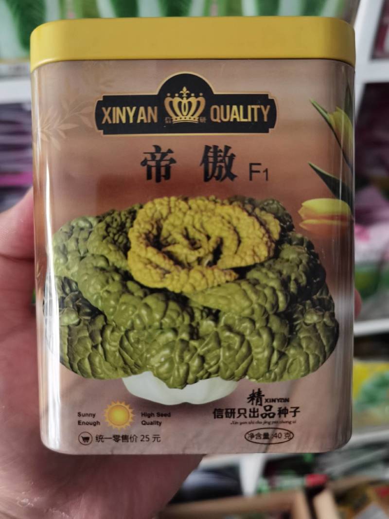 高端货！！杂交信研黄心乌种子，黄心菜种子，忒耐寒，外观好
