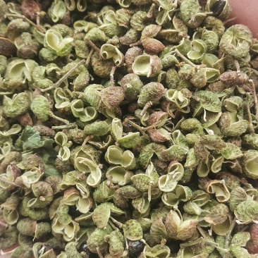 花椒，陕西青花椒，新货，量大价优，欢迎咨询