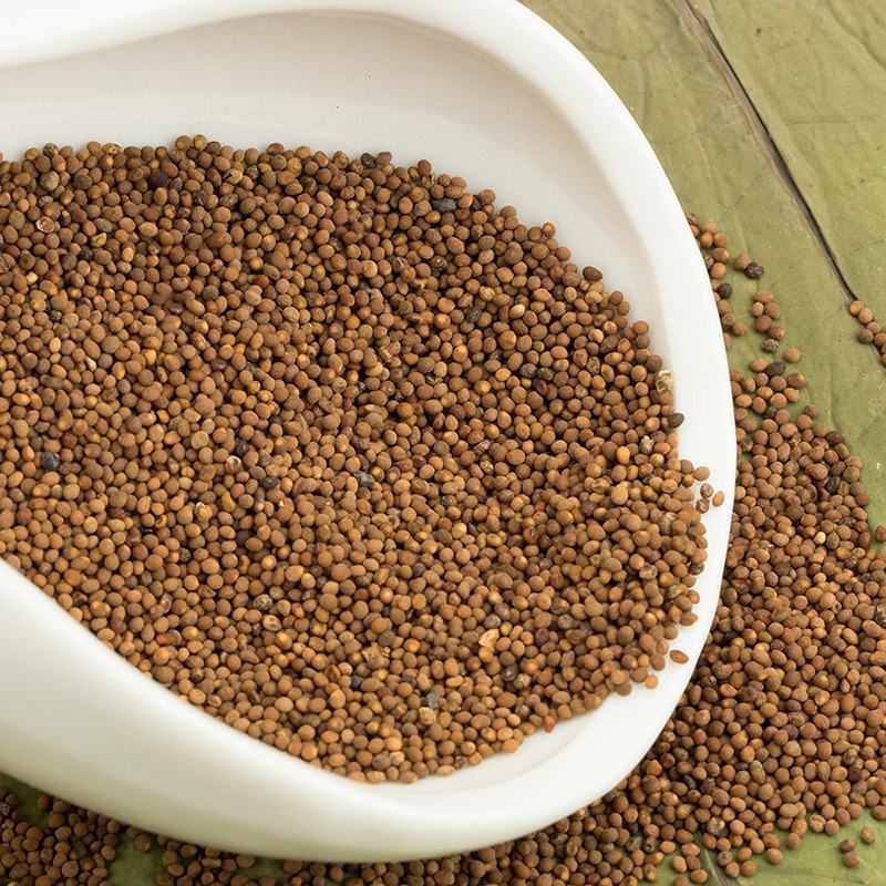 中药材菟丝子兔丝子四川大菟丝子菟丝子茶500克包邮