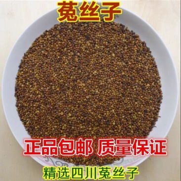 中药材菟丝子兔丝子四川大菟丝子菟丝子茶500克包邮
