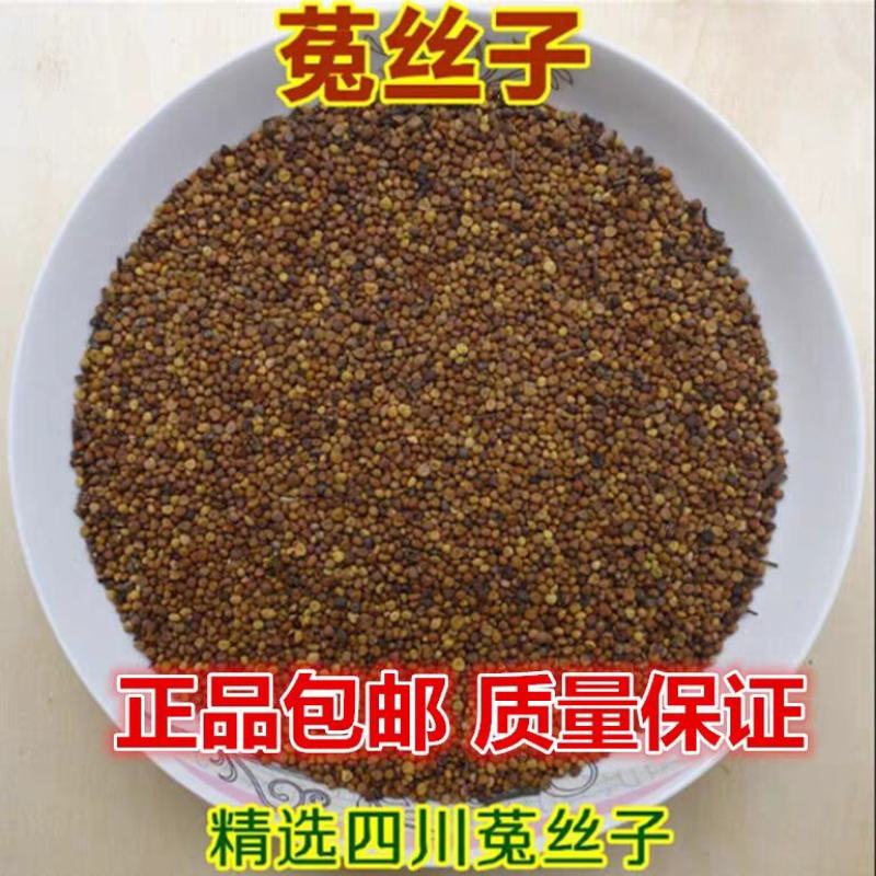 中药材菟丝子兔丝子四川大菟丝子菟丝子茶500克包邮