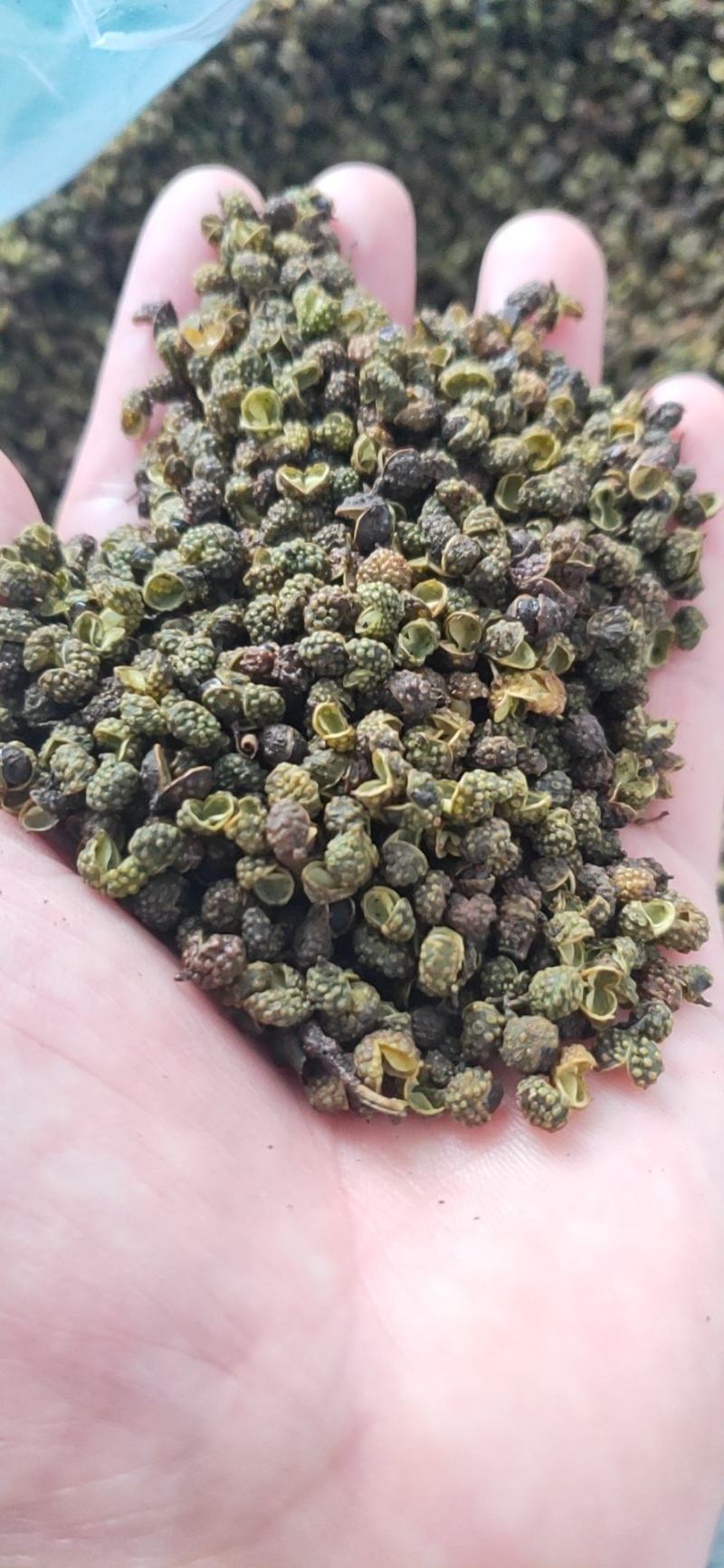 金阳青花椒金阳花椒云南花椒麻椒金阳椒麻椒昭通青花椒