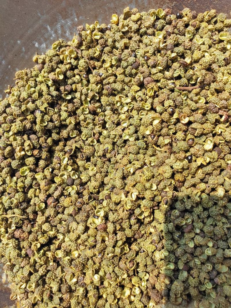 金阳青花椒金阳花椒云南花椒麻椒金阳椒麻椒昭通青花椒
