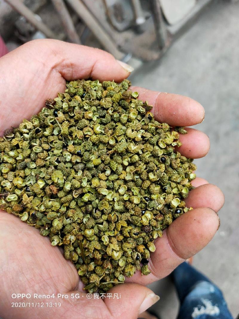 金阳青花椒金阳花椒云南花椒麻椒金阳椒麻椒昭通青花椒