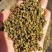 金阳青花椒金阳花椒云南花椒麻椒金阳椒麻椒昭通青花椒