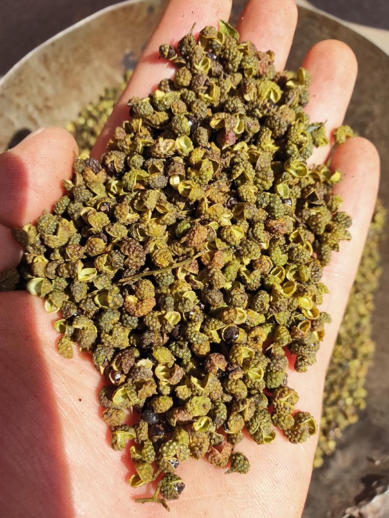 金阳青花椒金阳花椒云南花椒麻椒金阳椒麻椒昭通青花椒