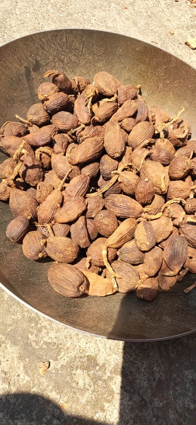 草果云南草果干草果火烤草果电烤草果产地直发精品草果